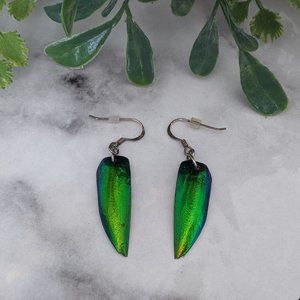 Natural Beetle Wing Metallic Green Shine Earrings